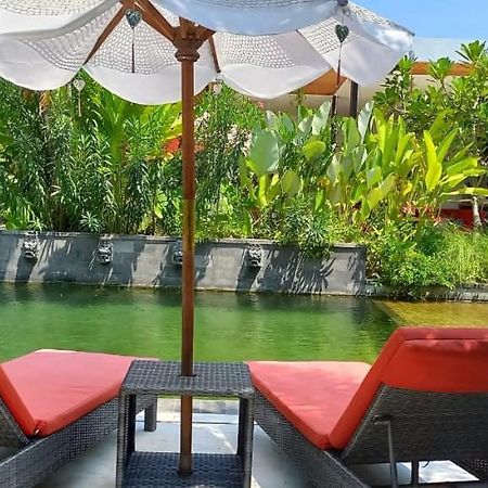 Le Chien Rouge Hotel Lovina Екстериор снимка