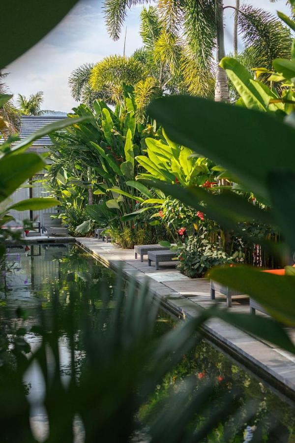 Le Chien Rouge Hotel Lovina Екстериор снимка